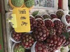 -西双版纳傣族园