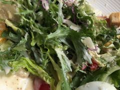 -鱼翅楼·津派砂锅鱼翅(水上公园店)
