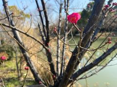 -昆山城市生态森林公园