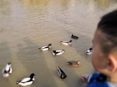 -喜茶(永旺梦乐城店)