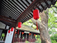 -上海醉白池公园