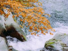 -光雾山旅游景区