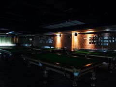 -伟林台球(力帆店)
