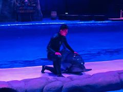 -华夏文旅海洋公园