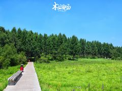 -塞罕坝国家级自然保护区