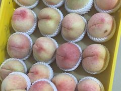 -老袁家蜜桃农场·阳山水蜜桃