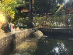 -明月山天沐温泉度假村