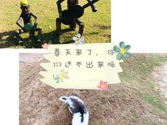 -前小桔亲子创意农场·草莓采摘·露营烧烤