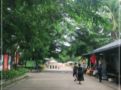 -红色娘子军纪念园