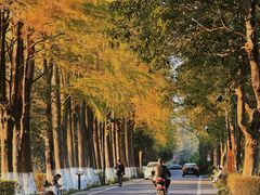 -西溪国家湿地公园