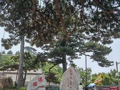 -妙峰山风景名胜区