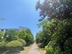-上海崇明金茂凯悦酒店