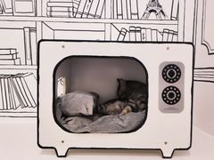 -白夜2D咖啡馆