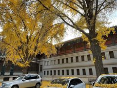 -国家图书馆·古籍馆