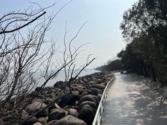 -上海吴淞炮台湾国家湿地公园