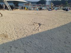 -仙海旅游度假区