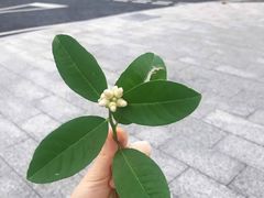 -BIRR COFFEE小熊咖啡(鸿瑞店)