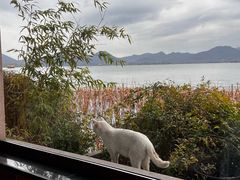 -湖畔居茶楼(湖滨店)