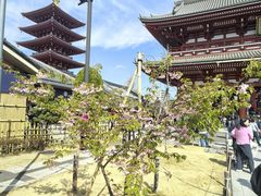 -浅草寺