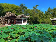 -无锡蠡湖国家湿地公园-蠡园