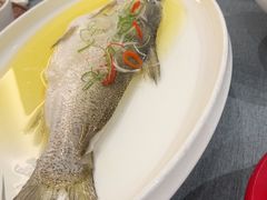 -大鹏饭店·金陵家宴(奥体中心店)