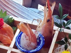 赤虾剌身-矶野水产(澳门逸园中心店)