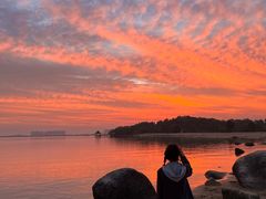 -瑶湖郊野森林公园