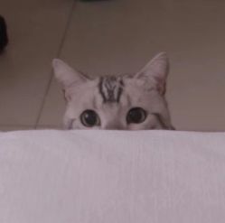 -映刻纹身