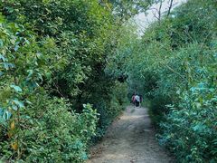 -南京老山国家森林公园