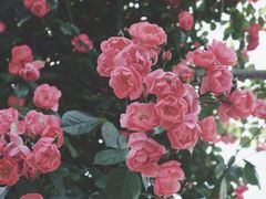 -广富林郊野公园