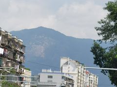 -光明港公园