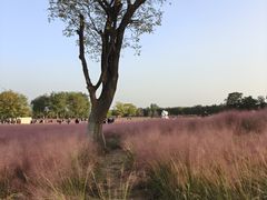 -汉长安城未央宫国家考古遗址公园