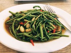 炒含羞草-建兴酒家(萨木亚店)