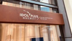 -IDOL-PLUS