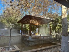 -春晖园度假酒店温泉