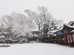 -晋祠公园
