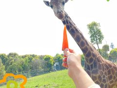 -常州淹城野生动物世界