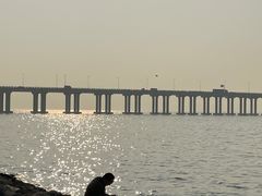 -宝安西湾红树林湿地公园