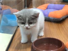 -龟与熊猫宠物公园(南坪店)