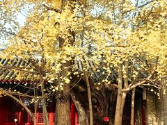 -承恩寺
