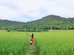 -艾米稻香小镇