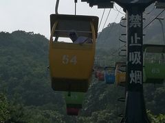 -大鹿岛