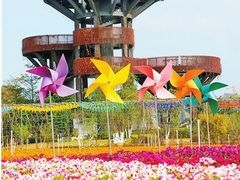 -芒洲湿地公园