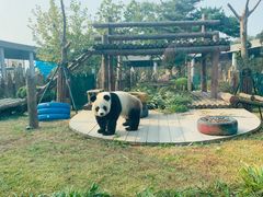 -大连森林动物园