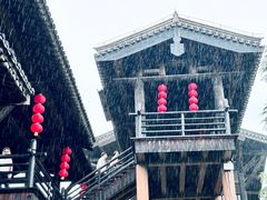-大唐贡茶院