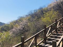 -大岭沟猕猴桃谷风景区