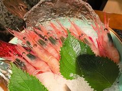 -匠和风精致料理(成都龙湖滨江天街店)