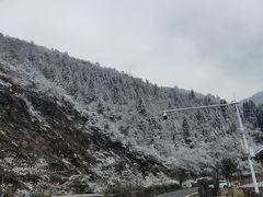 -武陵山森林公园
