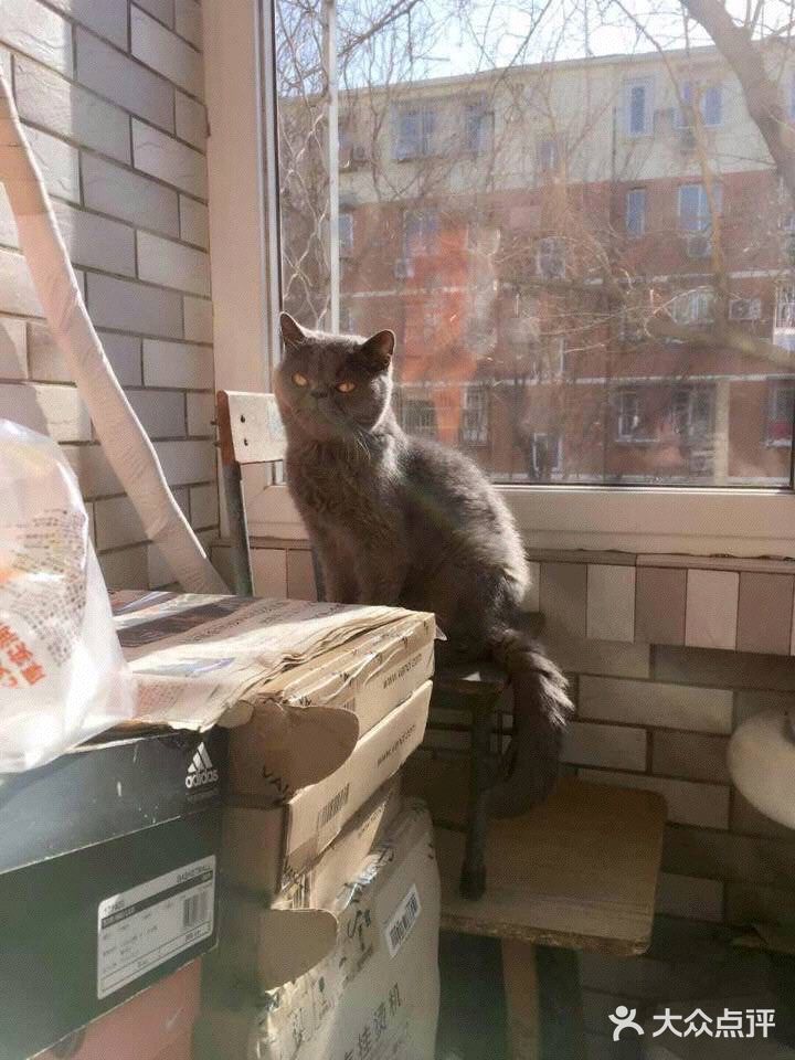 对不起的淘小桃🍑为什么不能珍惜过去的好时光？