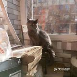 对不起的淘小桃🍑为什么不能珍惜过去的好时光？